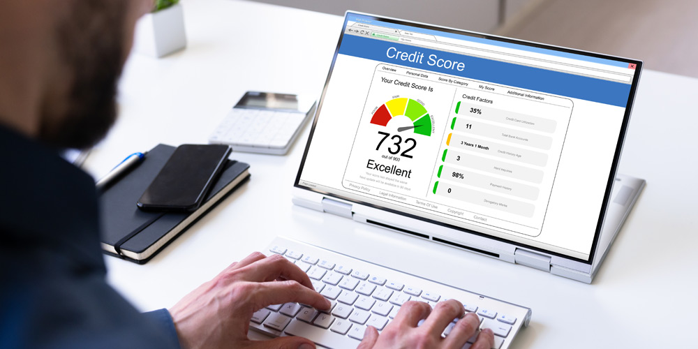 Screen showing a 732 credit score